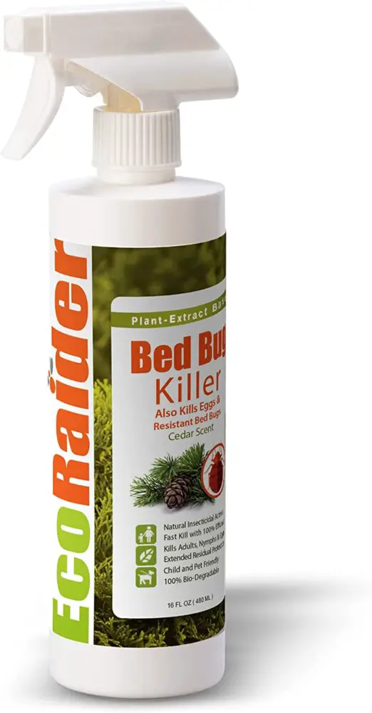 EcoRaider Bed Bug Killer Spray 16 Oz, Green + Non-toxic, 100% Kill + Extended Protection